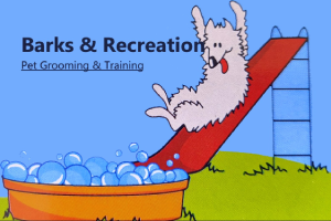 Barks Recreations